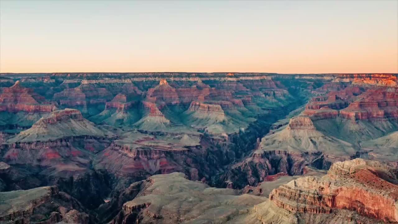 Portrait of a smiling woman with dreadlocks