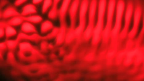 red sure got rhythm  -  an all natural abstractvideoclip