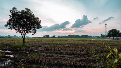 Zeitraffer-Eines-Landwirtschaftlichen-Feldes-In-Lubao,-Pampanga,-Philippinen