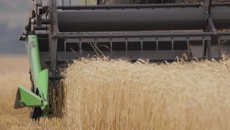 Slow-motion-shot-of-harvest-combine-cutting-through-ripe-wheat-crops-in-the-field-at-daytime