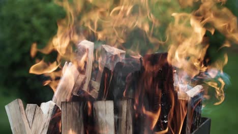 wood-is-on-fire-in-the-black-metal-fireplace