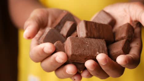 boy holding many chocolate candy ,