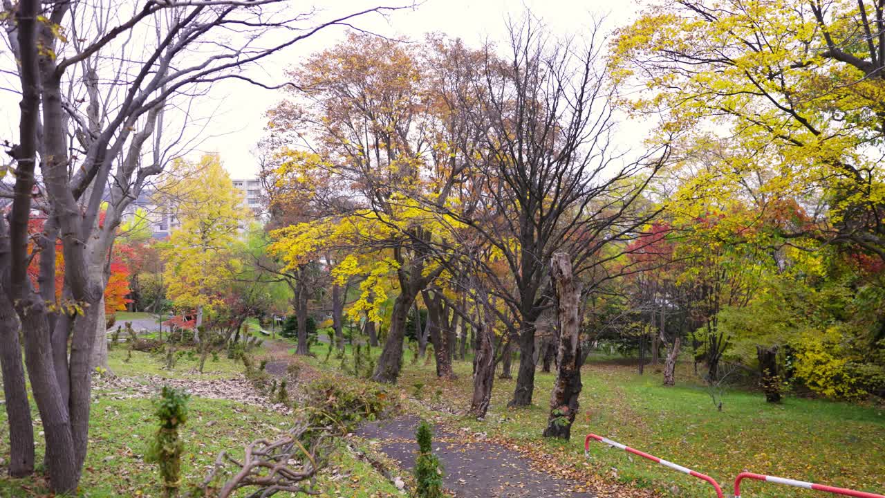 오타루 최고의 뷰