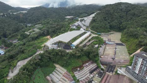 vista general del paisaje del distrito de brinchang dentro del área de cameron highlands de malasia