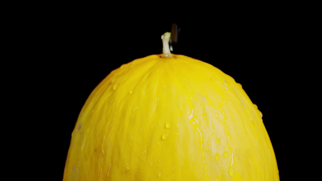 A ripe melon falling water drops.