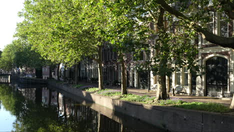 trees along the canal and lage gouwe paved street in gouda, the netherlands