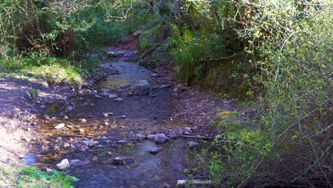 4k-Wasser,-Das-In-Einem-Kleinen-Bach-Mitten-In-Den-Großen-Wäldern-In-Den-Quantock-Hills-Somerset-Englang-Fließt