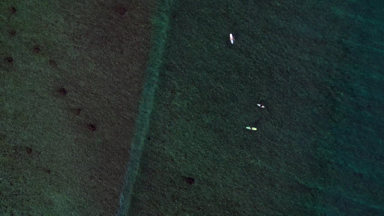 Surfisti in attesa su tavole da surf colorate in acqua limpida dell'oceano tropicale, visti da una prospettiva aerea dall'alto. Incredibile vista aerea dall'alto con drone