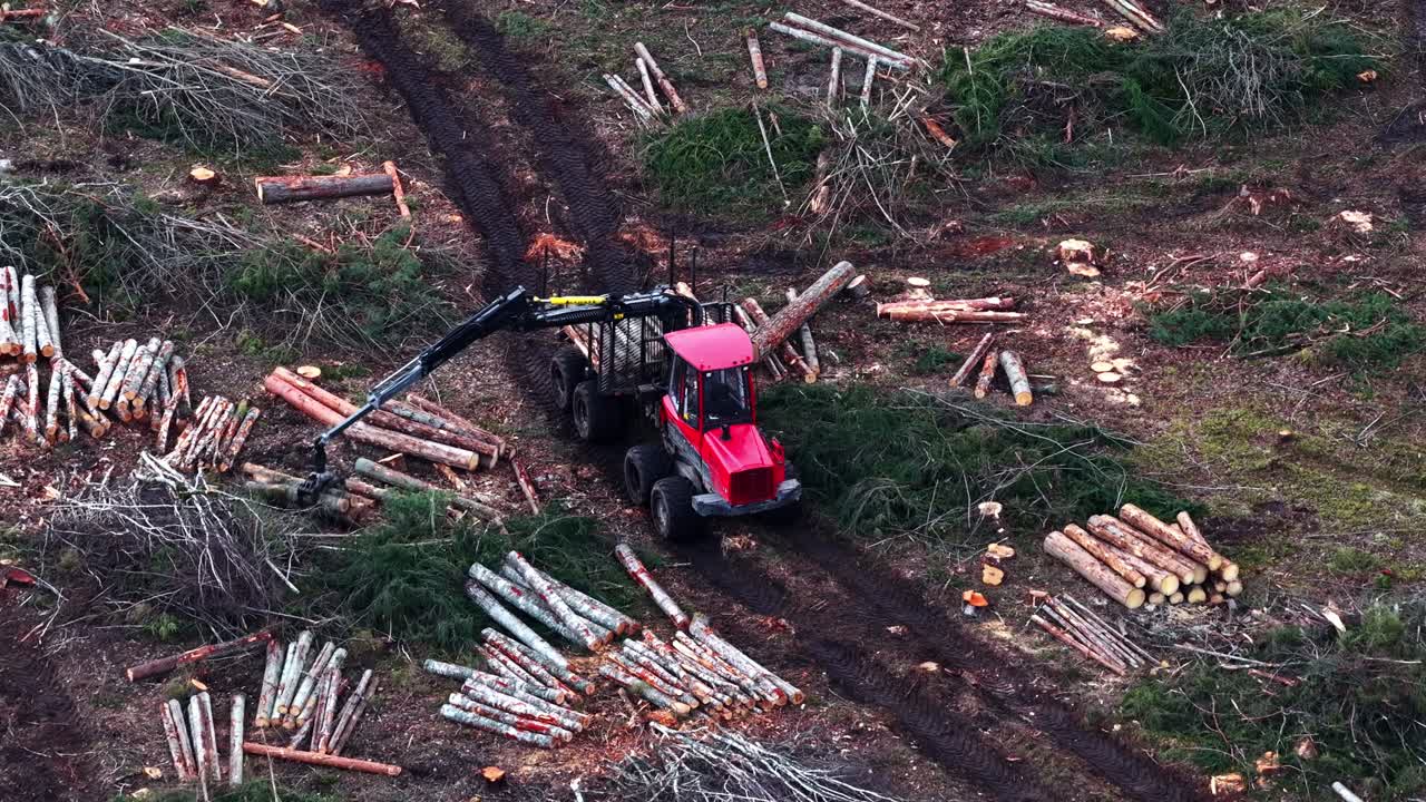 Logging machine loading cut timber logs onto trailer in deforested area