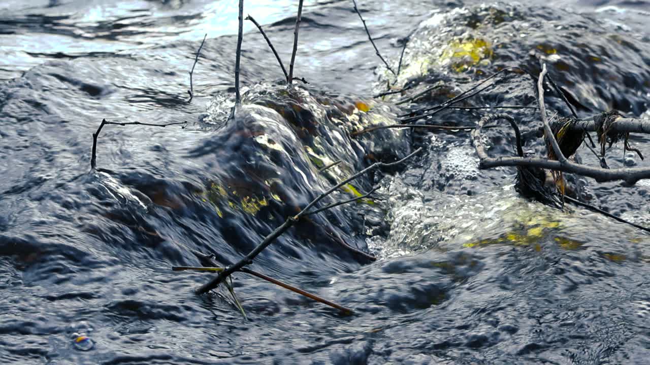 Close up or close up footage of dark cold brown and yellow river water flowing in nature over some rocks, twigs and branches creating waves, foam, bubbles and white water during day, reflective water.