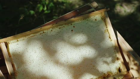 the frames with honey lie in a box in the apiary natural and healthy products from nature 4k video