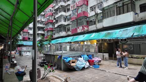 street view of tourists by monster building by quarry bay in hong kong