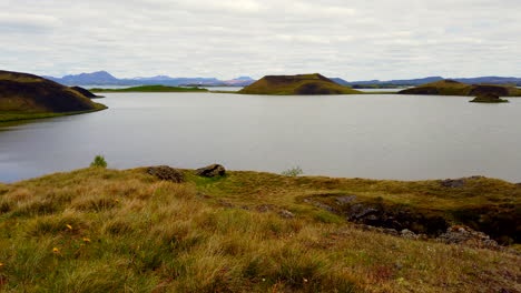 Iceland-Midge-Lake-or-Myvatn-volcanic-lake-and-pseudo-craters-wide-pan-past-flowers-with-tourists-hiking-in-distance,-4k-ProRezHQ