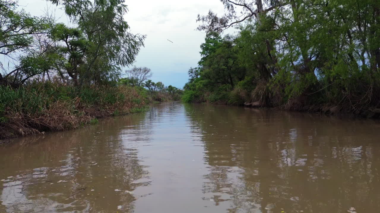 Static tripod-like camera clip over boat going through shallow, murky river waters. Vegetation and jungle on both sides of stream with clouds in sky.