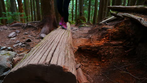 female hiker walking on fallen tree