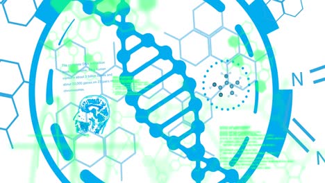 Animation-of-scientific-data-processing-over-dna-strand-spinning