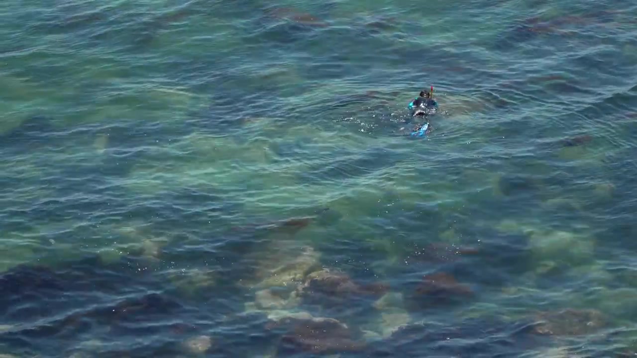 Haenyeo woman free diver in wetsuit with fins swimming to collect seafood in clear emerald green sea at Haeundae coast in Busan South Korea