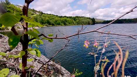 Young-White-Man-Swims-in-Blue-Lake-in-Slow-Motion,-Wide-View-from-Above