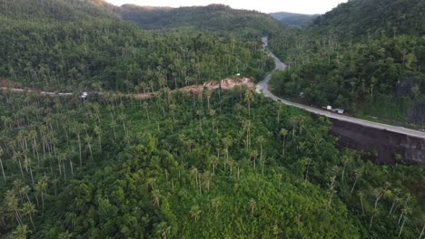 Berühmte-Kokosnussstraße,-Palmenstraße-Auf-Der-Insel-Siargao,-Philippinen