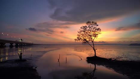 toma de inclinación del árbol de mangle en la dramática puesta de sol cerca del segundo puente de penang