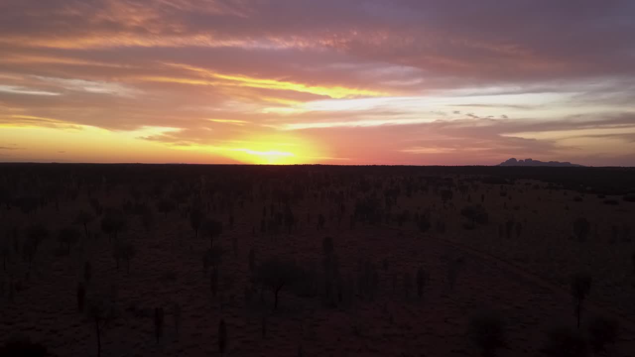 puesta de sol dorada del interior australiano con las rocas olgas en el fondo lejano