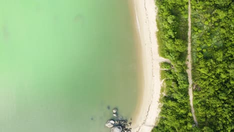 Top-aerial-view-of-a-paradise-beach-on-tropical-coast-brazilian-ocean-with-emerald-water-color,-Santa-Catarina,-Brazil