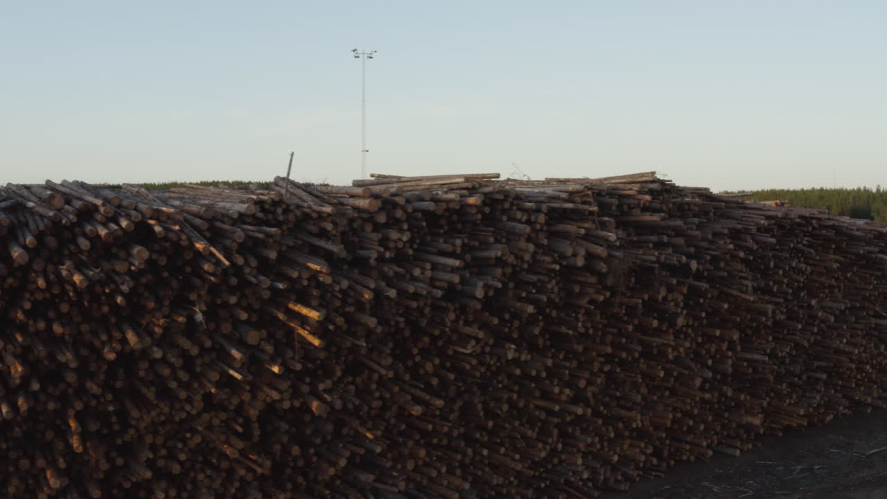 toma de dron 4k de material de madera sueco listo para transporte y exportación