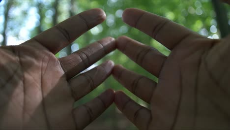 open hands nature blurry background