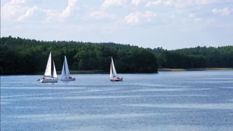 scenic view of sailboats on the calm lake in charzykowy, poland - static shot