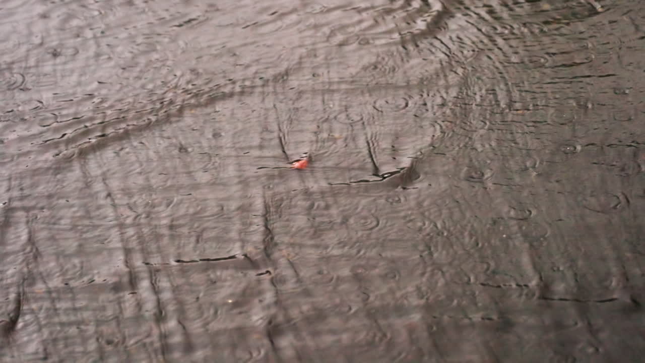 Rain water flows steadily across cracked ground surface, creating rippling patterns and textures during wet weather, highlighting natural movement of liquid across pavement under rainfall conditions