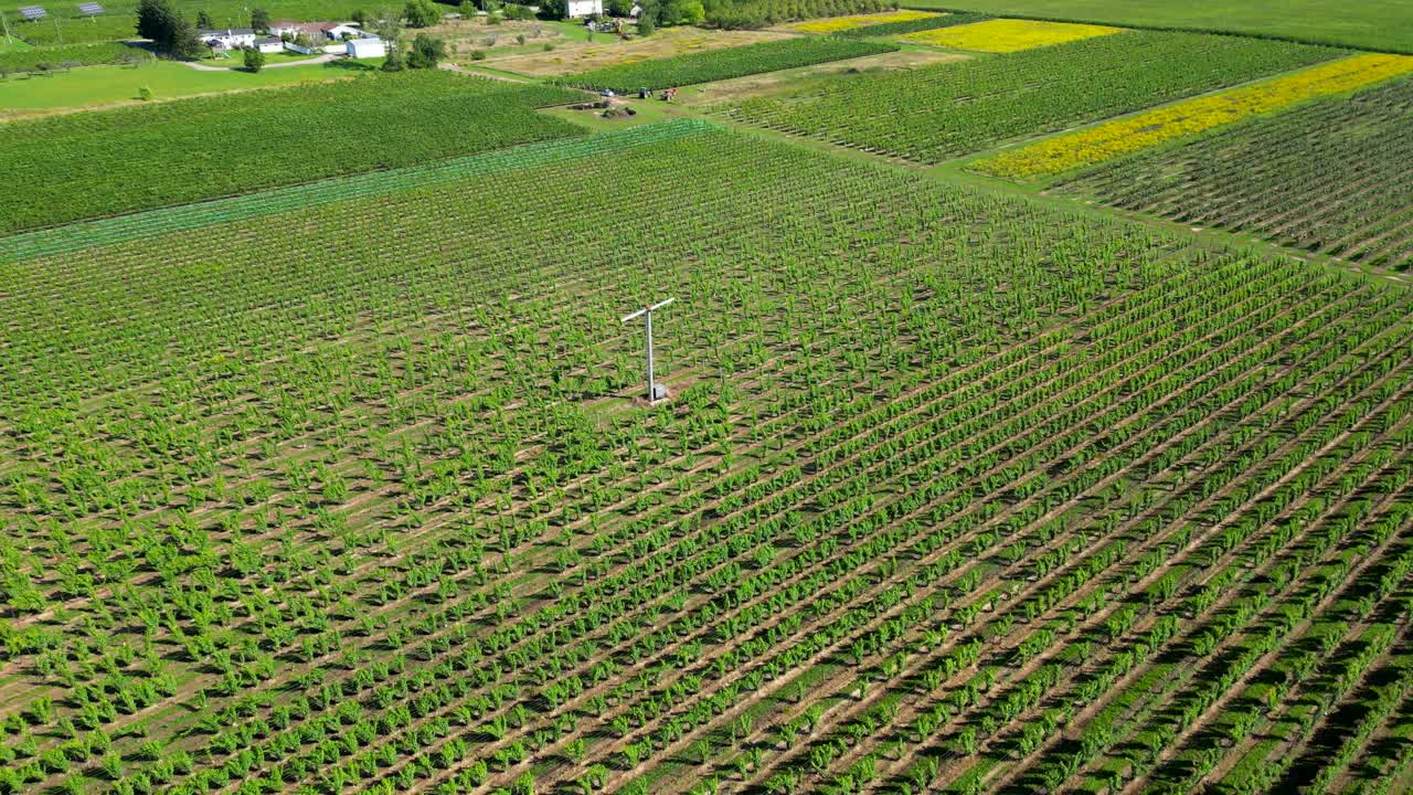huerta de vista aérea o viñedo con máquina de viento para proteger las plantas