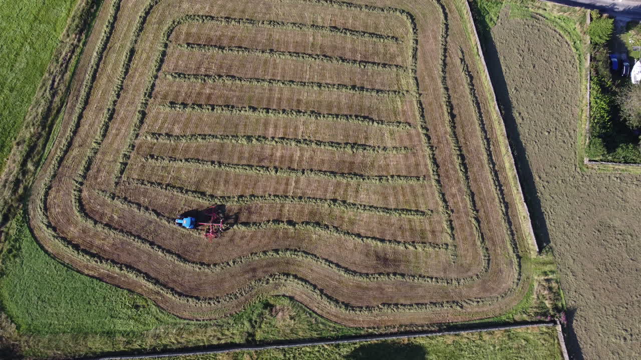 Aerial flyover of a tractor collecting hay in a row making patterns. The farmer mowing grass on farmland. Business in agriculture