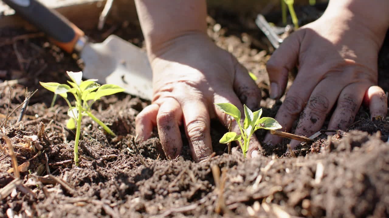 una abuela y un nieto bi-racial felices pasando tiempo juntos en un jardín soleado, en cámara lenta