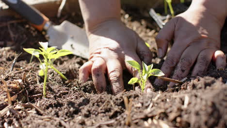 Glückliche-Biracial-Großmutter-Und-Enkel-Verbringen-Zeit-Zusammen-Im-Sonnigen-Garten,-Zeitlupe