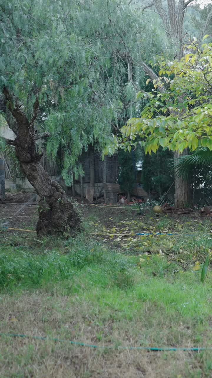 Garden with trees and sprinkler system
