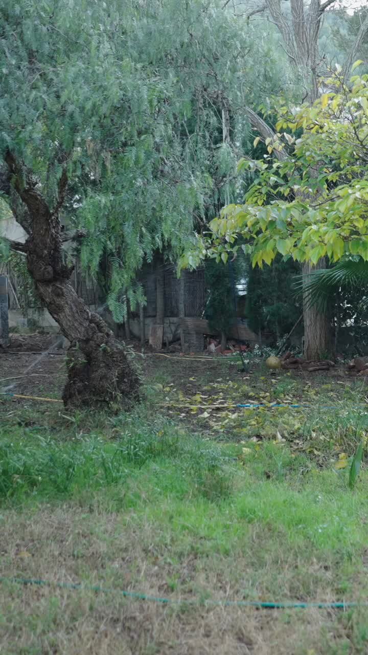 Garden with trees and sprinkler system