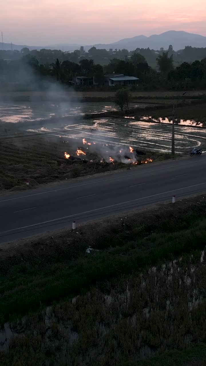 Burning rice fields in rural landscape at sunset