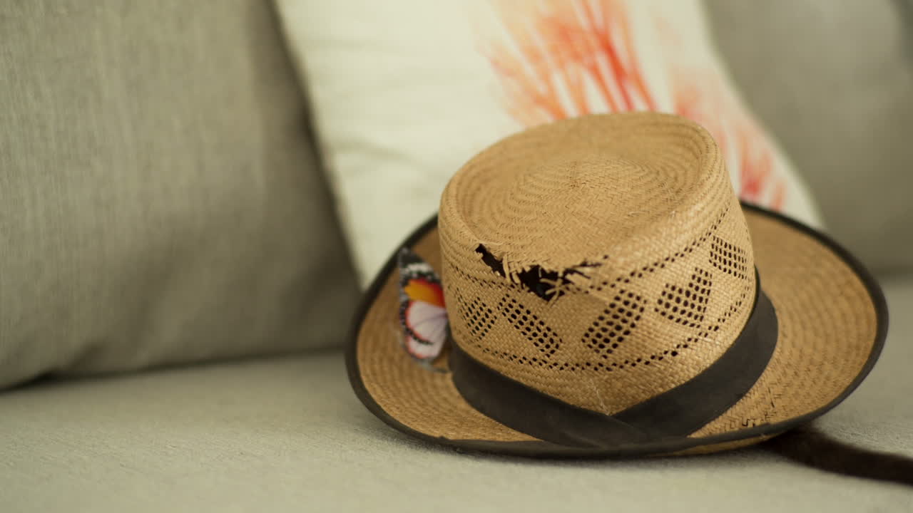 gato debajo del sombrero 06