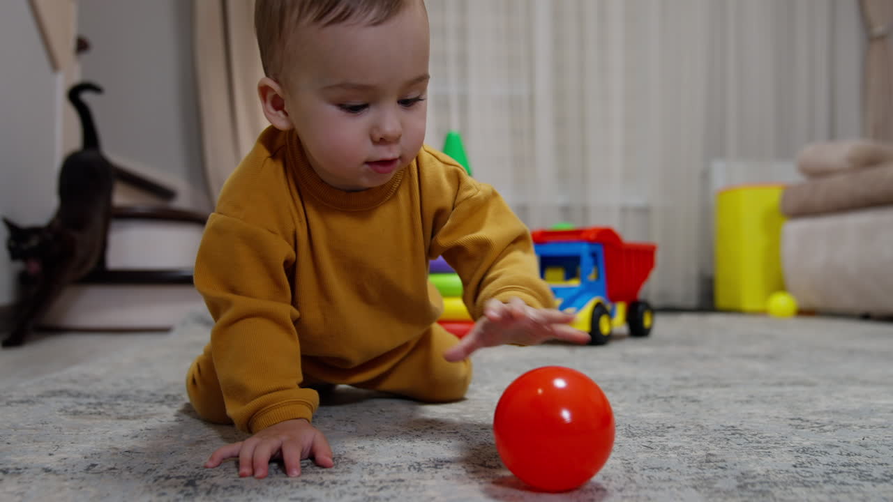 Baby Playing with Toys