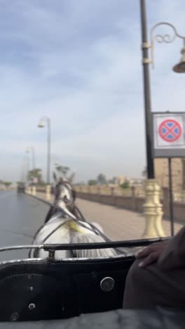 a view of a road full of cars from a cabriolet, trucking shot