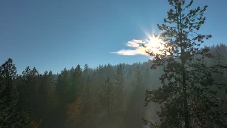 La-Densa-Niebla-En-El-Bosque-Revela-Lentamente-El-Sol-Y-La-Ladera-Boscosa-A-Lo-Lejos,-Tomas-Aéreas,-Rayos-De-Dios