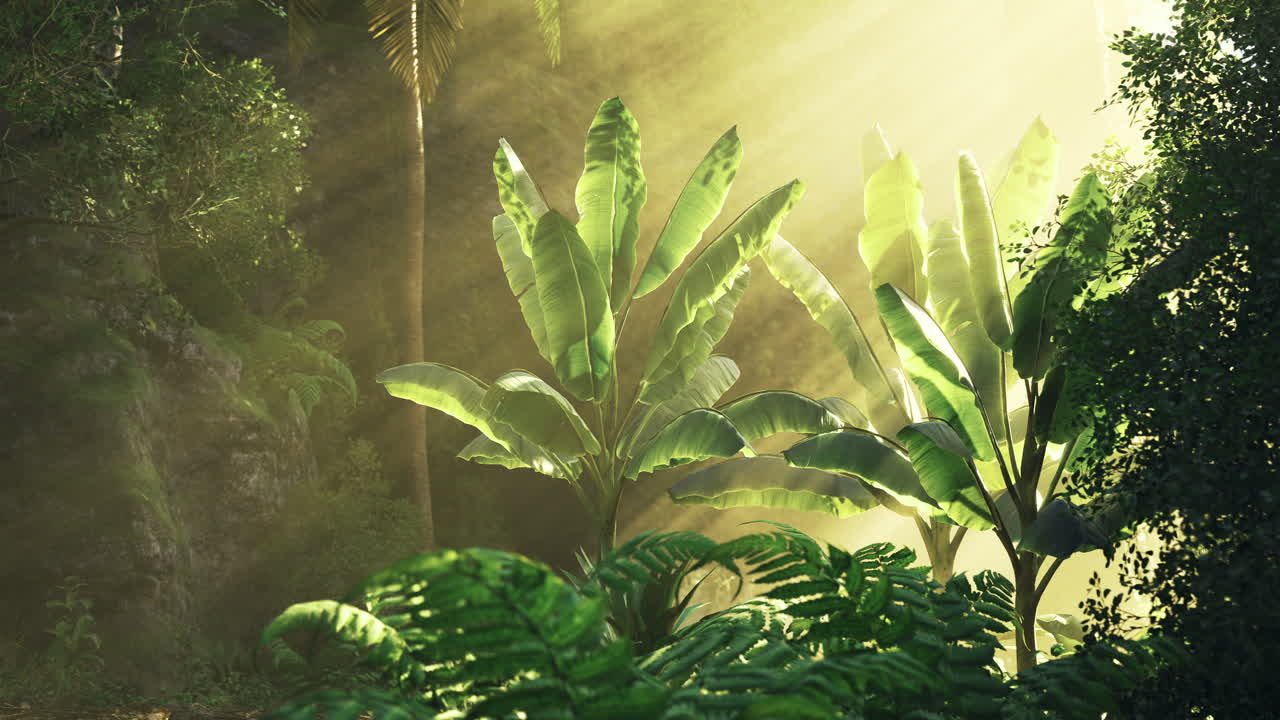 Lush tropical foliage illuminated by radiant sunlight in a vibrant forest