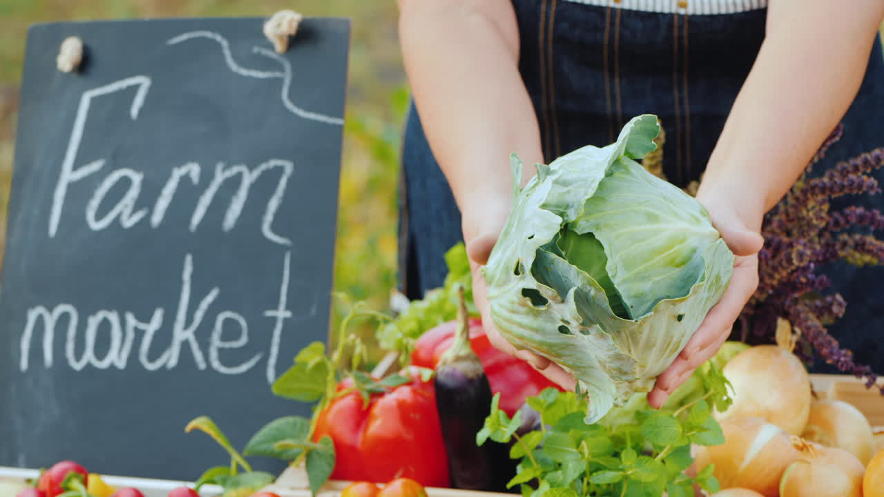 농부 시장에서 야채 판매대 위에 양배추 머리를 가진 농부의 손
