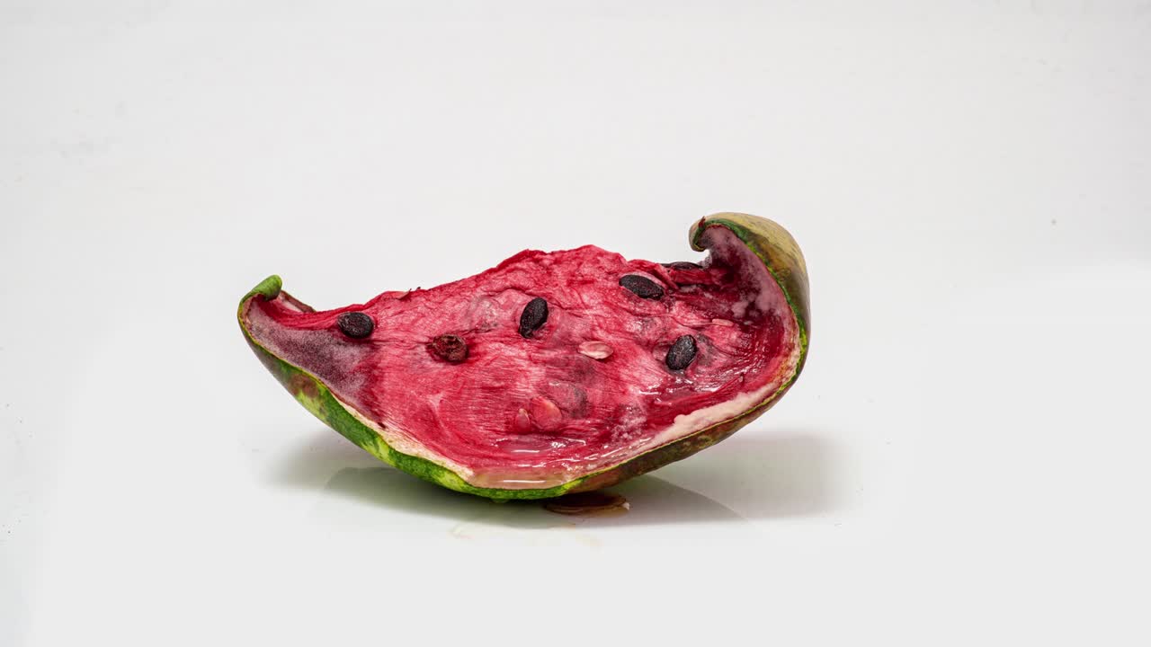 un pedazo de sandía madura podrida sobre un fondo blanco, lapso de tiempo, video cognitivo educativo