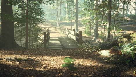 old-wooden-bridge-over-a-small-stream-in-a-park