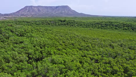 El-Morro-National-Park-With-Dense-Green-Forest-In-Montecristi,-Dominican-Republic