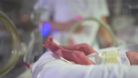 nurse feeding baby in incubator