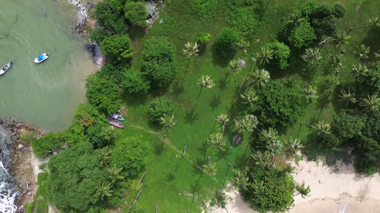 Aerial top down drone footage capturing boats anchored close to the palm-lined coast of Koh Lanta, Thailand, with turquoise sea, sandy remote beach, and lush green tropical landscape