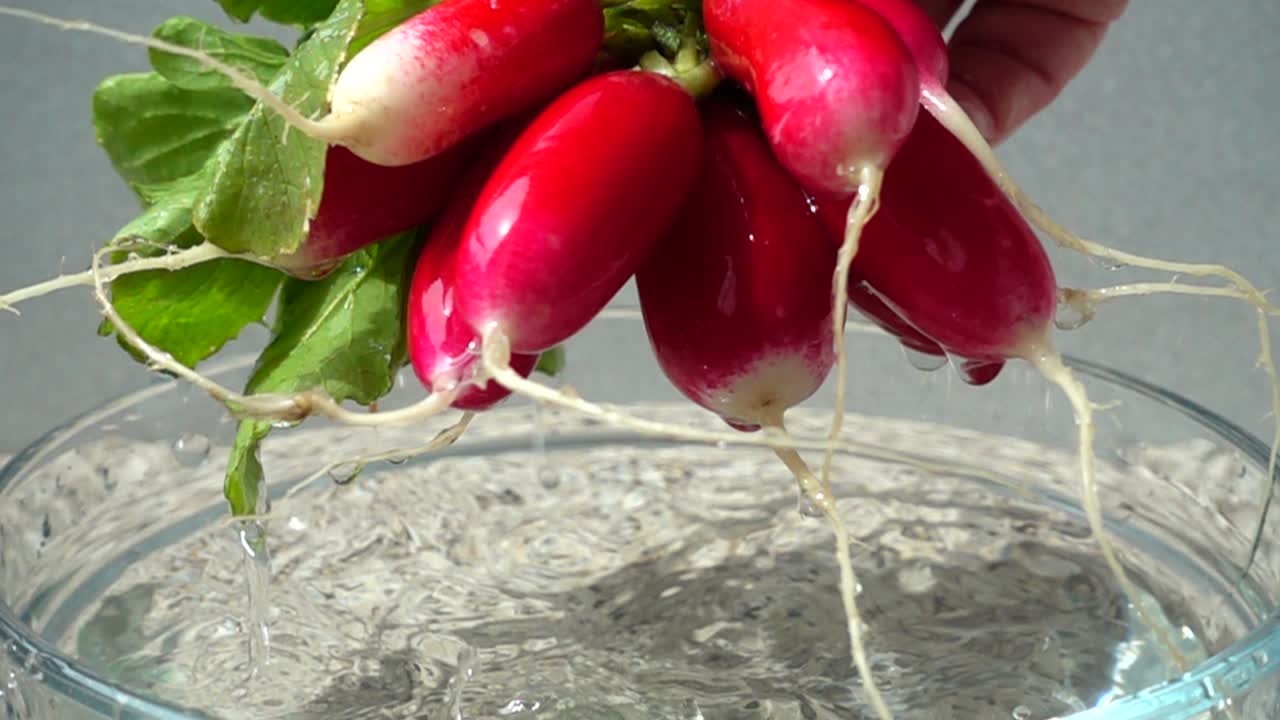 El cocinero saca rábanos del agua. Cámara lenta