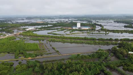 Imágenes-De-Drones-Con-Vistas-A-Estanques-De-Peces-O-Humedales-Y-Zonas-Verdes-En-Filipinas-En-Una-Mañana-Nublada